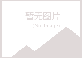 陆河县夏青工程有限公司